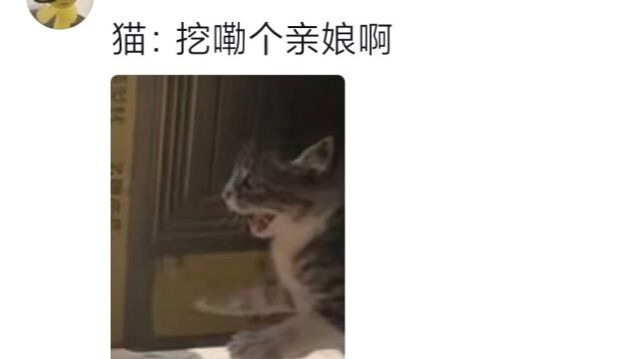 Who came up with “rule the heavens and earth”? Hilarious!