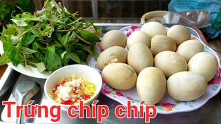 Thánh Ăn Trứng Thối.Trứng Chíp Chíp | Biển Nguyễn ngọc.