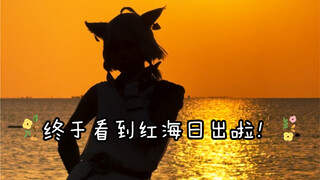 猫娘！蜜蜂之舞！太阳海岸！【FF14】