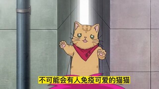 猫咪认为人类是自己的奴隶，时常做出各种过分的事情。