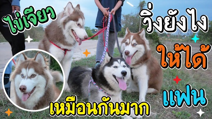 เจอแฝดข้าวนึ่ง!! วิ่งยังไงให้ได้แฟน น้องไข่เจียว! - ข้าวนึ่ง & เดอะแก๊ง