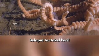 Ada Apa Sajakah Di Kedalaman Es Antartica