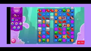 CANDY CRUSH SAGA LEVEL 1505 NEW VERSION NO BOSTER