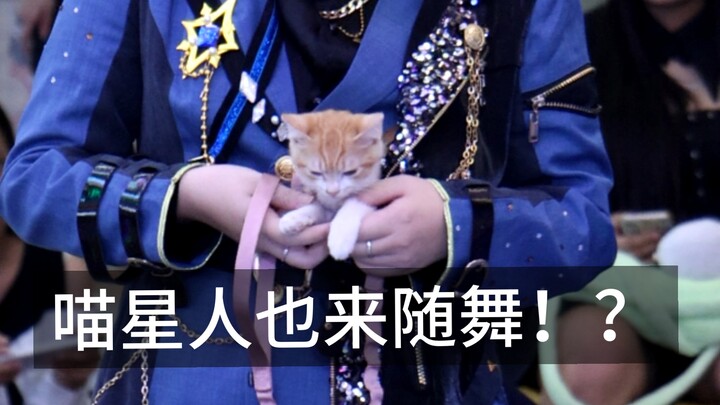 喵星人也来随舞！？【小小的我】