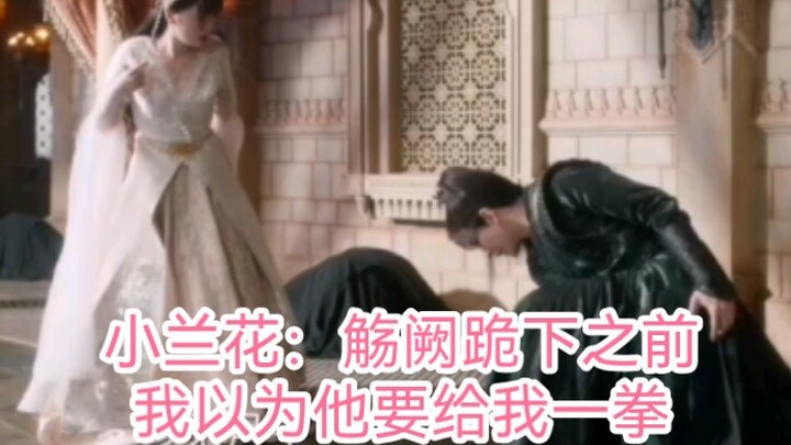 笑不活了，以为觞阙要给小兰花一拳哈哈哈哈哈