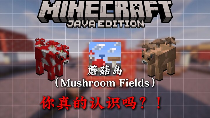 In 5 Minutes, Learn All About Minecraft’s Mushroom Island!