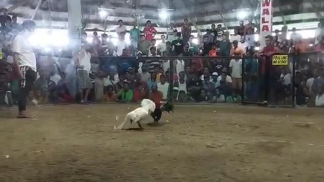 san Fernando cockpit