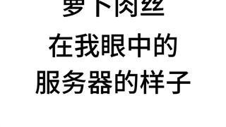 我玩其他服务器be like