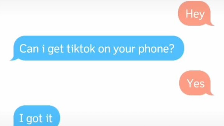 The text