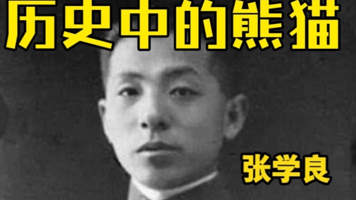 แพนด้าในประวัติศาสตร์: จาง เสวี่ยเหลียง – ดินแดนตะวันออกเฉียงเหนืออันหนาวเหน็บ, ทหารกลั้นปัสสาวะ, หญ