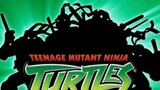 Teenage Mutant Ninja Turtles (2003) - s02e13 - Return to the Underground