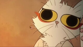 "Dali Temple Diary" Tuan Kucing dan putra sulungnya (bushi)