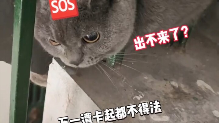 هل تصدقني عندما أخبرك أنني أمارس تمارين تقليص العظام؟