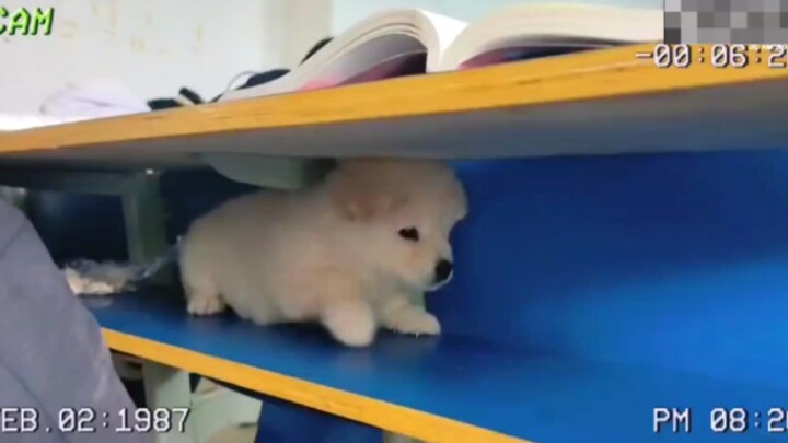 Guru sedang di kelas, saya sedang berbaring dan tidur.