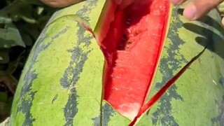 Satisfactory cutting series