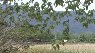 A Railway Life - Drama Kisah Nyata - Episode 7 (DAAI TV) 12/7/2025