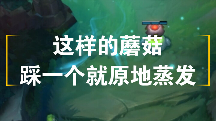 เห็ดแบบนี้ แค่เหยียบโดนหนึ่งดอกก็ระเหยหายไปทันทีเลย