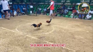 5K Gilmore WIn! AEJ Game farm line!