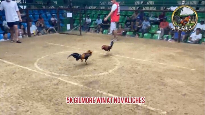 5K Gilmore WIn! AEJ Game farm line!