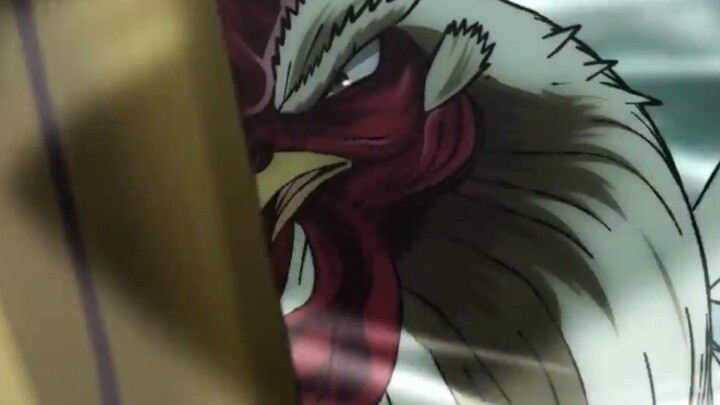 Official Anime Trailer _ Rooster Fighter _ VIZ_02cd