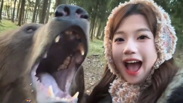 Tôi sắp chết vì cười với đám này mất thôi hahaha❺