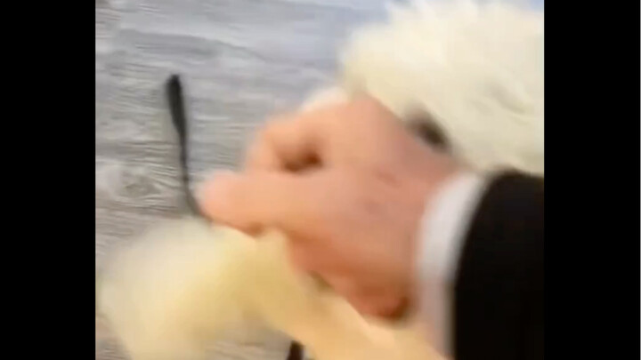 小狗：“你终于来接我回家啦！！！！”