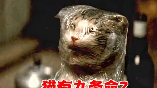 传说猫有九条命，男人竟用保鲜膜封印住，看猫能坚持多久？
