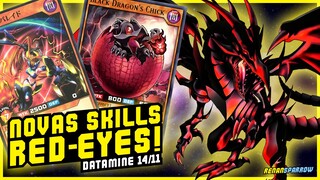 DRAGÃO NEGRO: NOVAS SKILLS PARA SPEED e RUSH DUEL! (Datamine 14/11) - Yu-Gi-Oh! Duel Links #2167