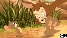 kartun anak Tom and Jerry bahasa indonesia | jerry and friends