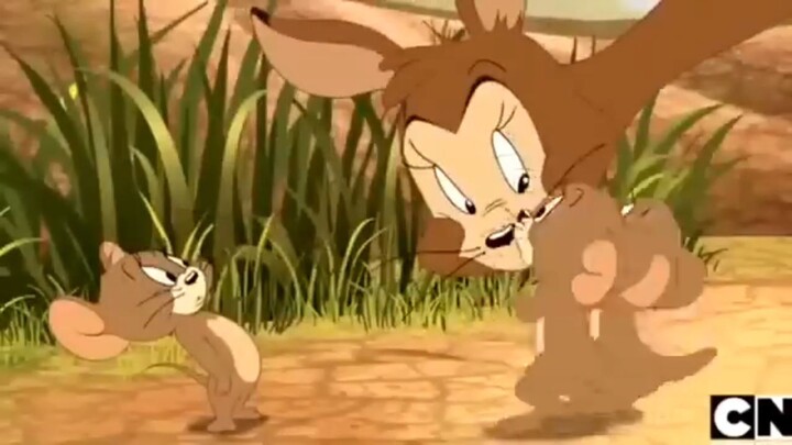 kartun anak Tom and Jerry bahasa indonesia | jerry and friends