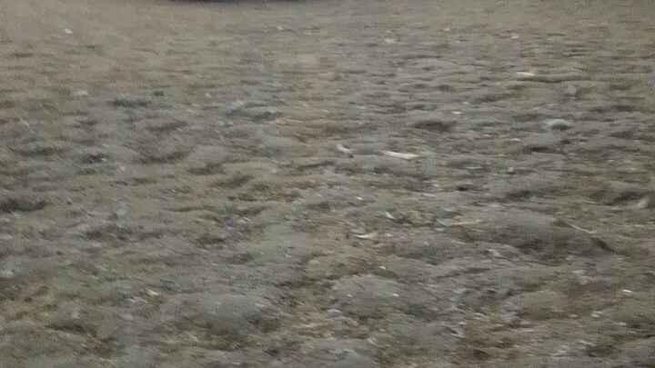 jabr talisayin versus vs gold