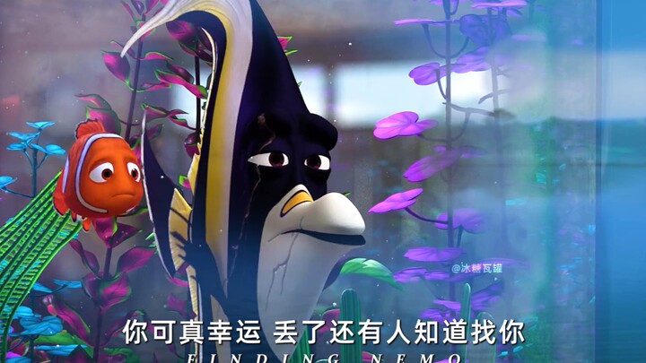 “I’ve already lost my wife and 399 children; I can’t lose you too!”