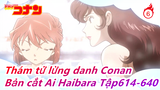 [Thám tử lừng danh Conan] Bản cắt Ai Haibara Phần 11, Tập614-640_6