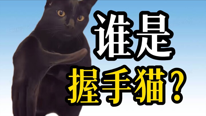Who created the encouraging handshake cat? How did these magical creatures come to be? What is AI br