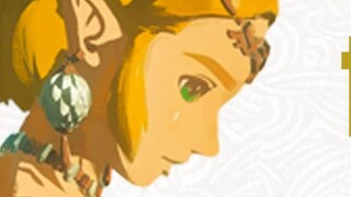 (إعادة نشر بإذن) رقم قياسي عالمي سريع في لعبة Tears of the Kingdom - 45 دقيقة و28 ثانية