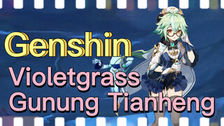 Violetgrass Gunung Tianheng