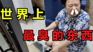 猫 屎 有 多 臭 ？