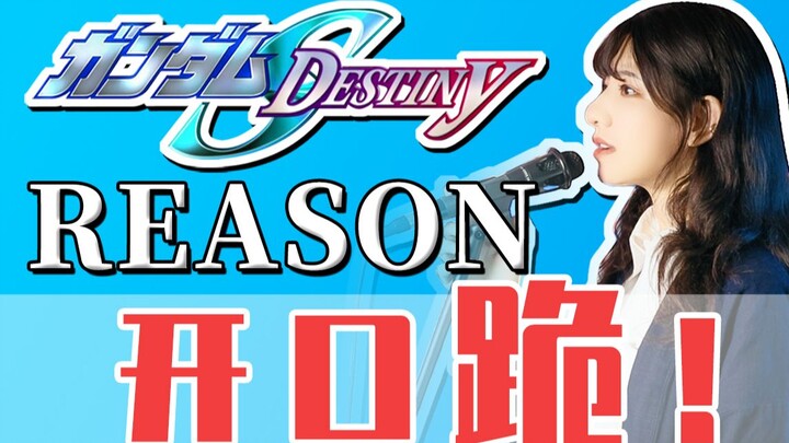 【瞳瞳】持续高燃！~REASON~《高达Seed Destiny》一切寂寞~皆化作坚强！~