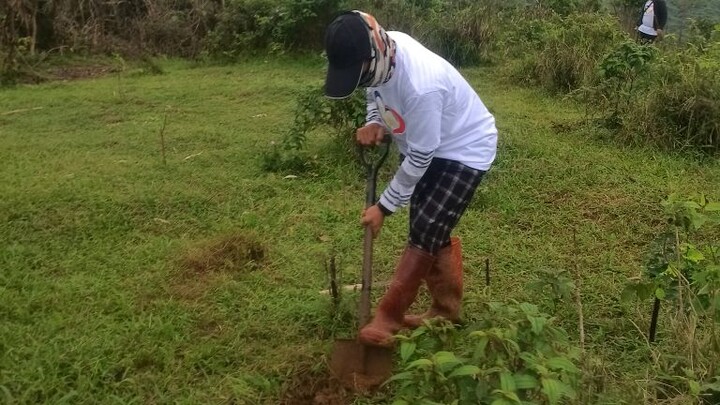 tree planting pitmaster cares