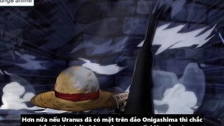 Mục Đích Của Aokiji Khi Đến Wano  Yamato Sẽ Vào Băng Mũ Rơm p3