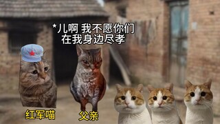 บุตรชายแปดคนเข้าร่วมกองทัพ แต่ไม่มีใครกลับมาสู่ตระกูลหยาง บุตรชายแปดคนล้วนเต็มไปด้วยวีรบุรุษผู้ภักดี