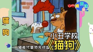 狗的梦想是成为一名小丑，他能实现自己的梦想吗？