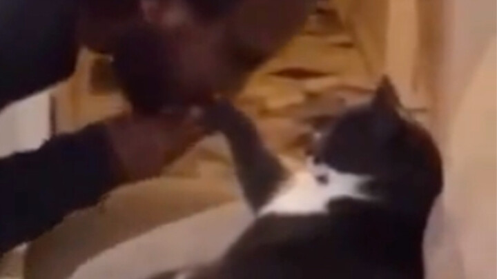 喵：我会给家人们开一个无法拒绝条件