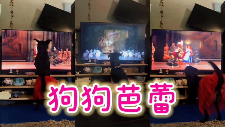 น้องหมาน้อย น้องหมาน้อย เธอคือเจ้าหญิงบัลเลต์