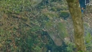 jirisan korean drama