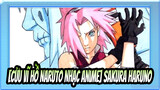 [Cửu vĩ hồ Naruto Nhạc Anime] NHỮNG CÔ GÁI SAMURAI / Trận chiến Sakura Haruno (bản solo)