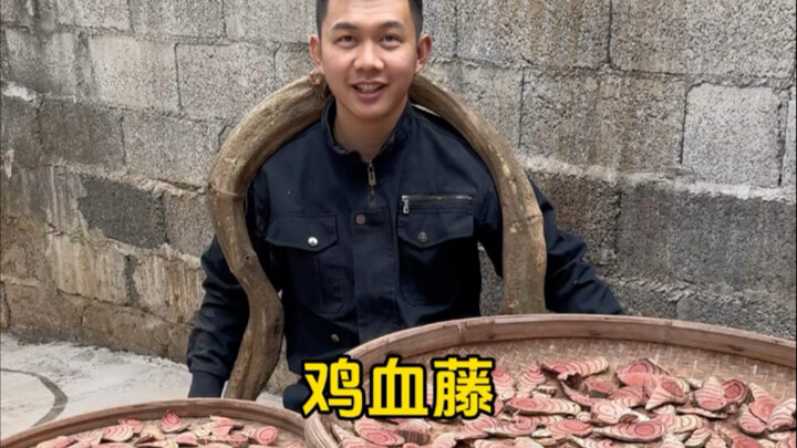 Plants that “bleed” spark a unique fusion with chicken soup!