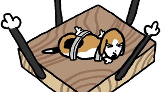 perangkat pertarungan anjing