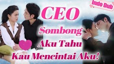 CEO sombong dalam keadaan mabuk berlutut di depan rumahku minta menikah