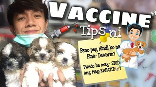 SHIH TZU PUPPIES 1st VACCINE 💉🐶 - UPDATE! | ICE IBARRA